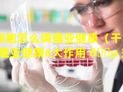 干细胞怎么调理亚健康（干细胞调理亚健康6大作用 🐵 效果）